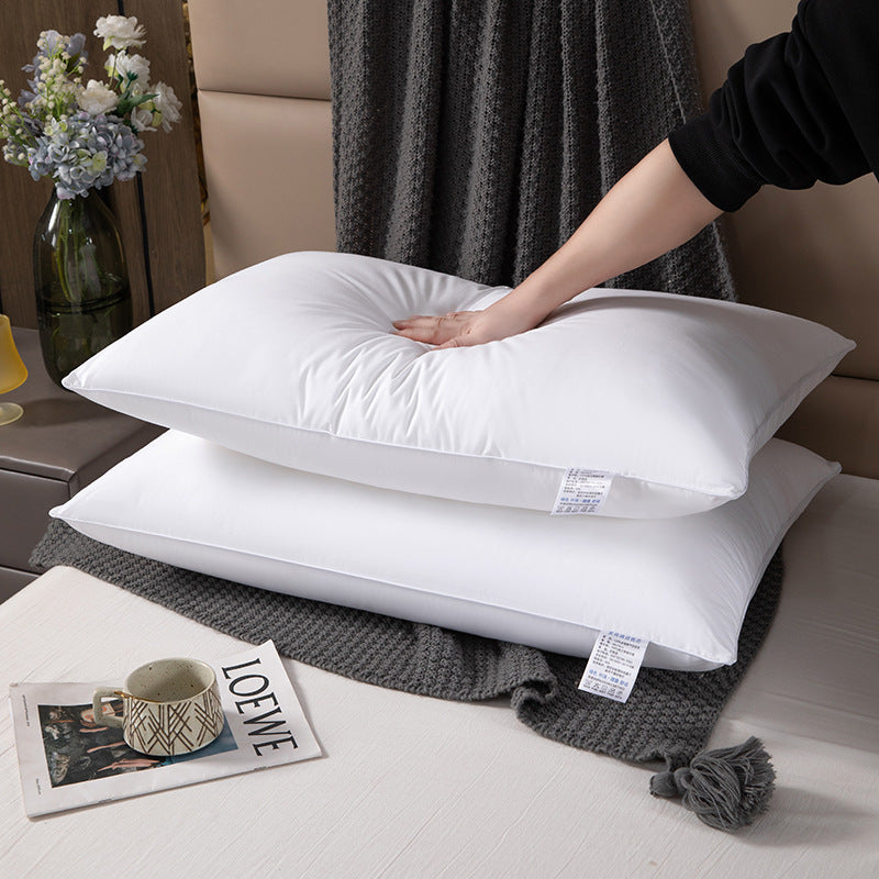 Pillow Insert