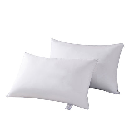 Pillow Insert