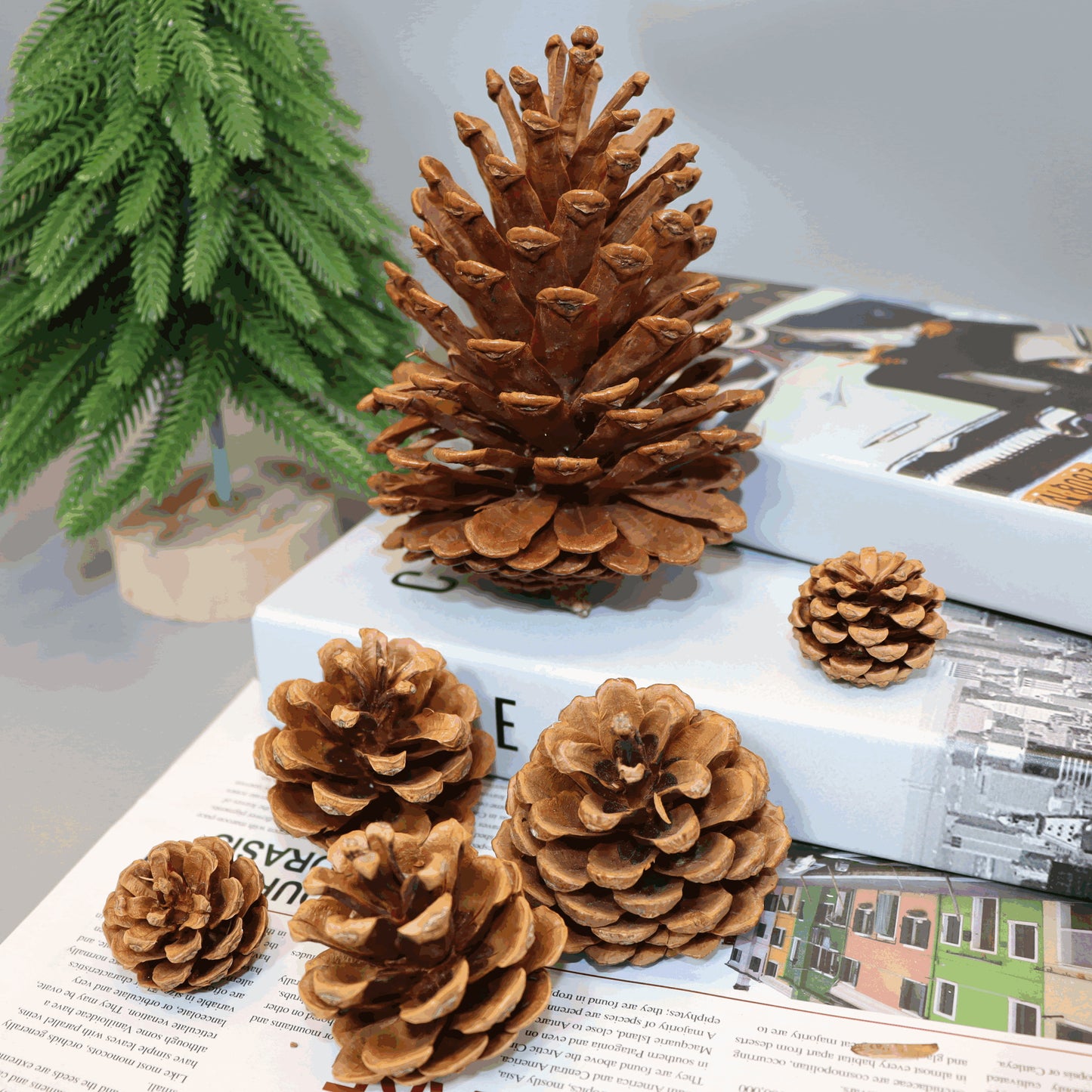 Pinecone Christmas decorations