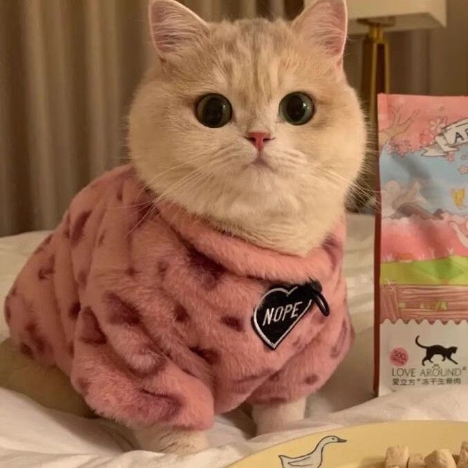 Pink leopard print pet cat clothing