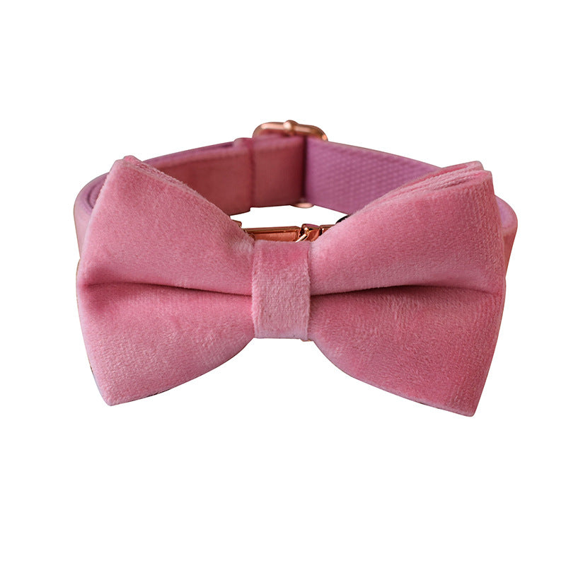 Pink Velvet Dog Collar with Rose Gold Buckle
