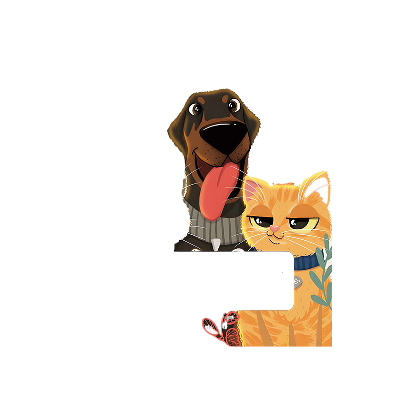 Planning Coil Model
