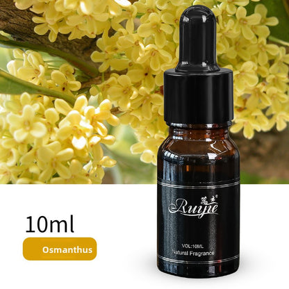 Plant Aromatherapy Car Perfume Refill