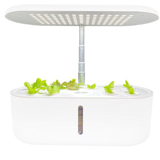 plant growing machine
