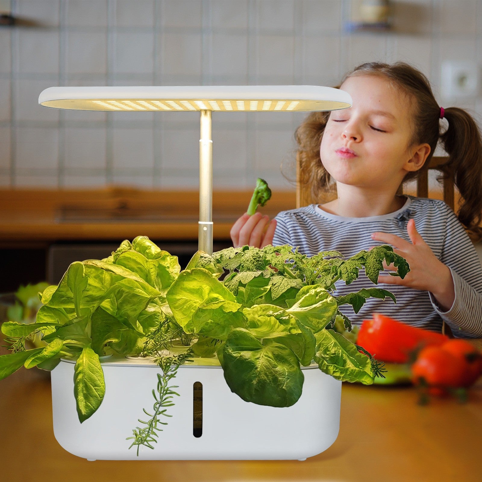plant growing machine