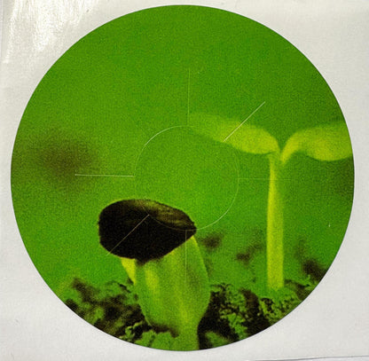 Plant Growth Light Accessories