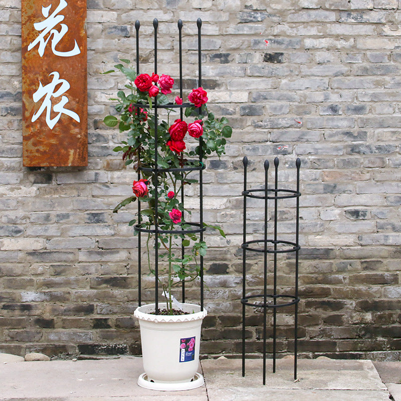 Plant Support Frame