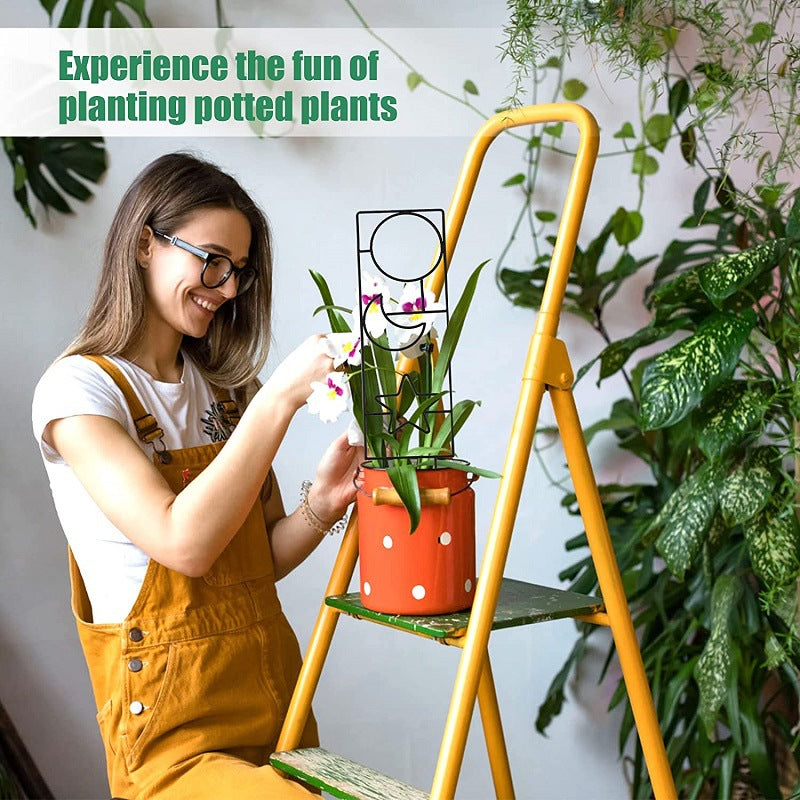 Plants climbing over metal support frames