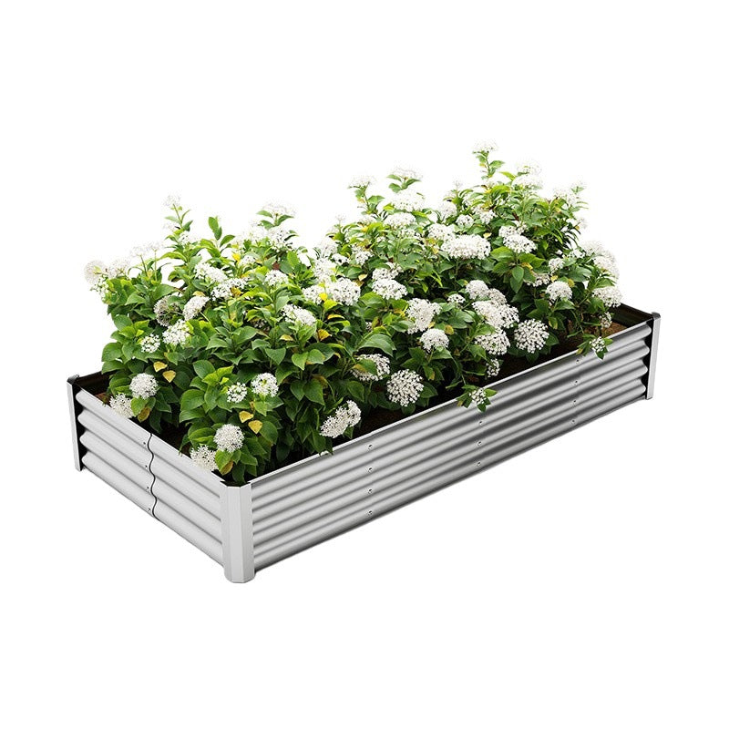 Plants, flower iron fence