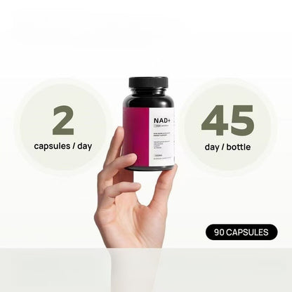 plastic bottle