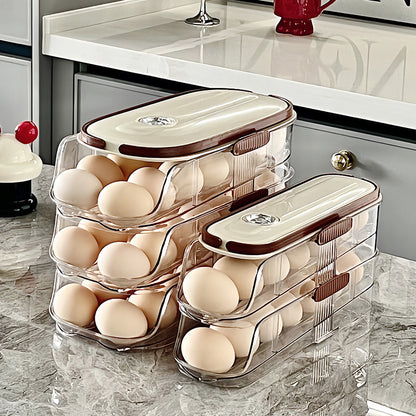 Plastic Egg Storage Box