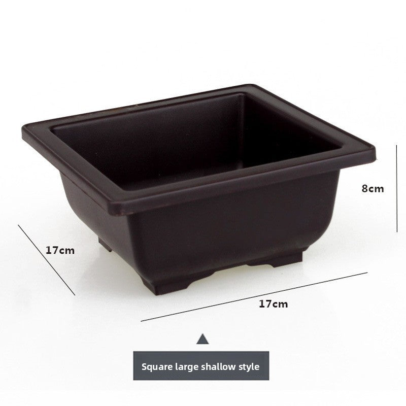 Plastic flower pot for succulent plant cultivation