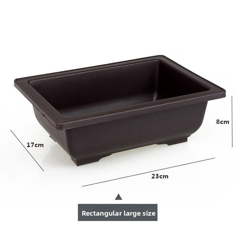 Plastic flower pot for succulent plant cultivation