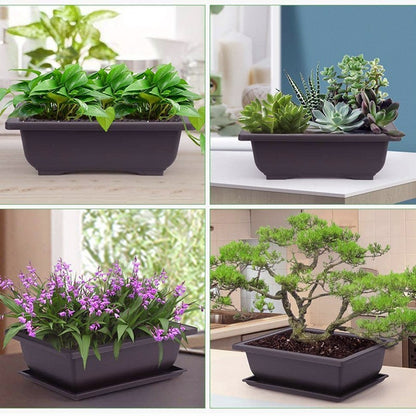 Plastic flower pot for succulent plant cultivation