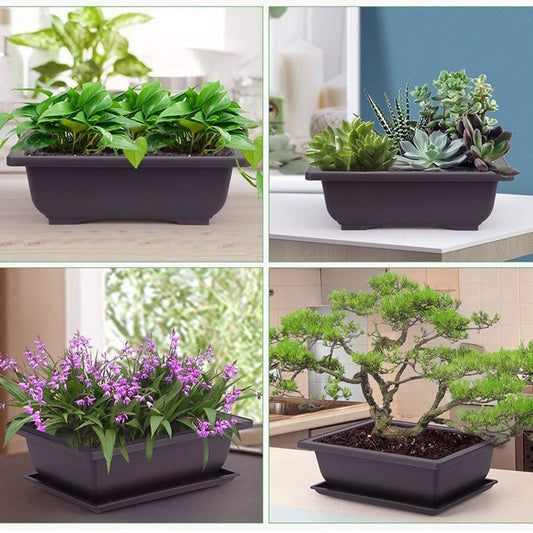 Plastic flower pot for succulent plant cultivation