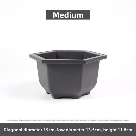 Plastic flower pot for succulent plant cultivation