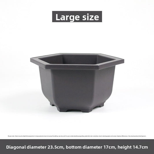 Plastic flower pot for succulent plant cultivation