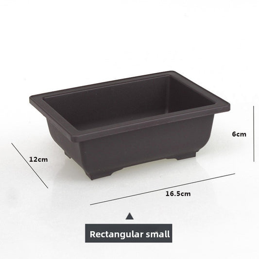 Plastic flower pot for succulent plant cultivation