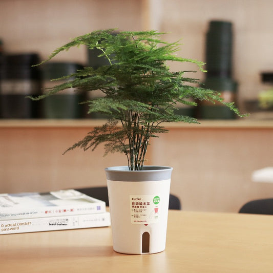 plastic flower pot