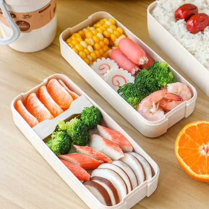 Plastic lunch box