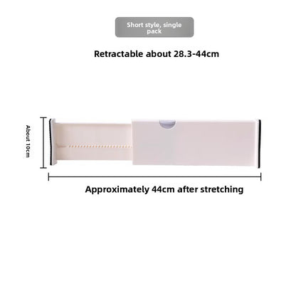 Plastic Partition