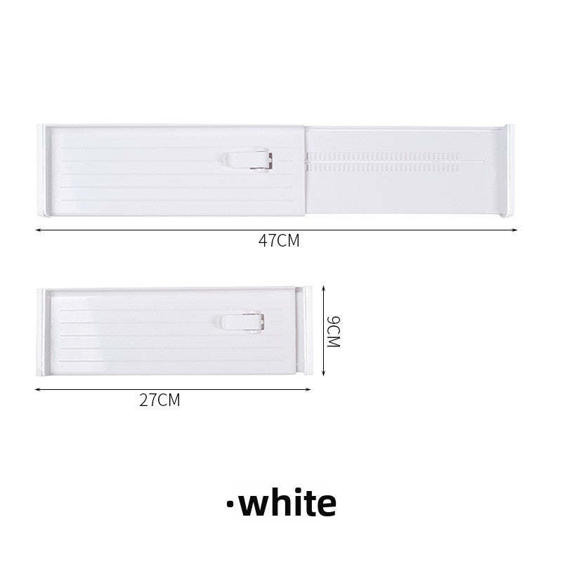 Plastic Partition