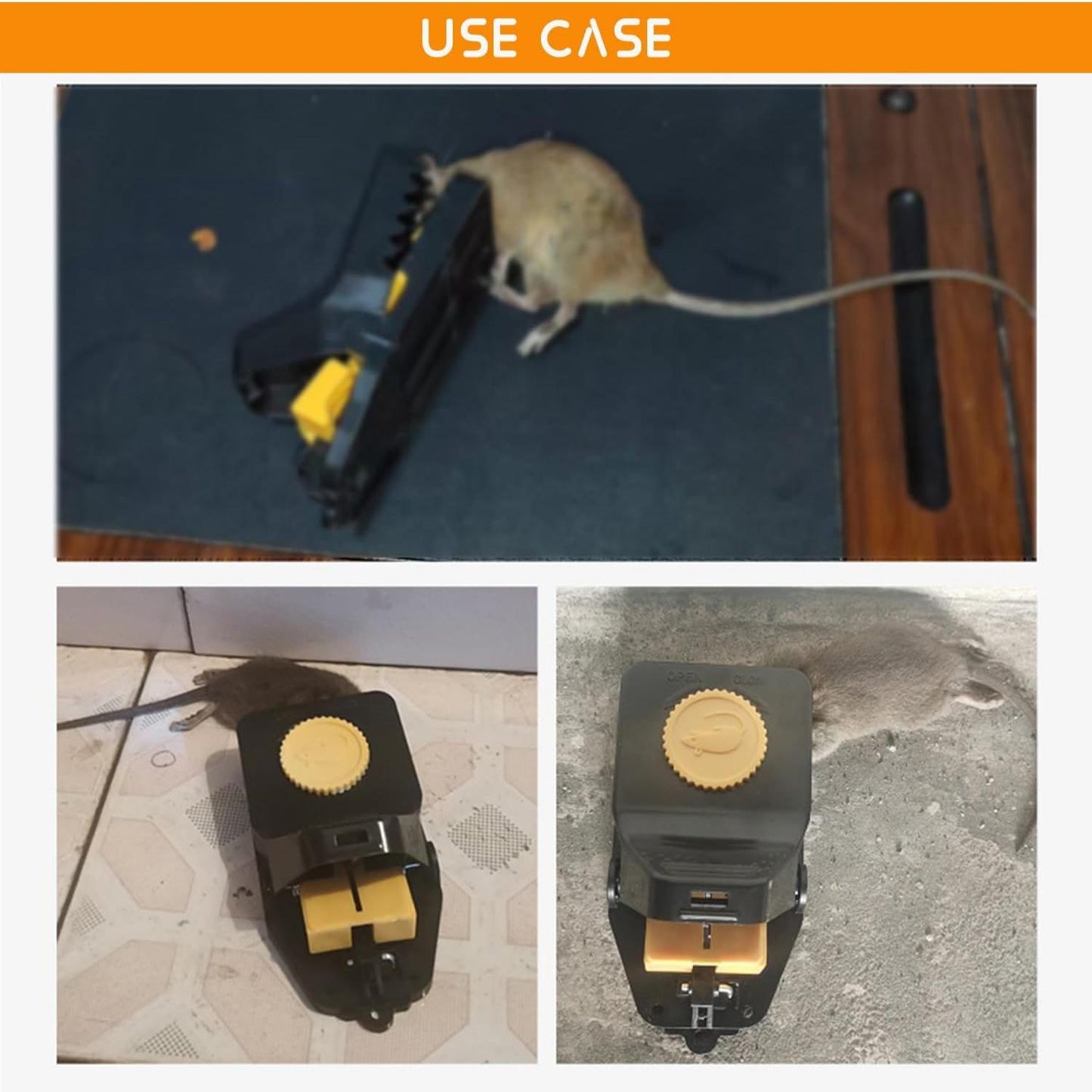 Plastic Rat Trap