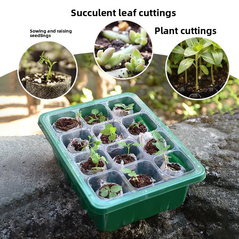 Plastic seedling tray