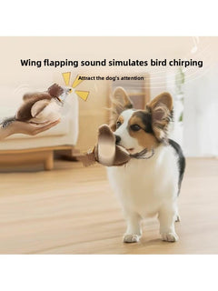 Brown Sparrow SoundWing Washable