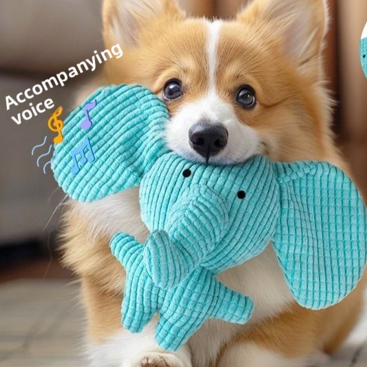 Plush Squeaky Pet Chew Toys