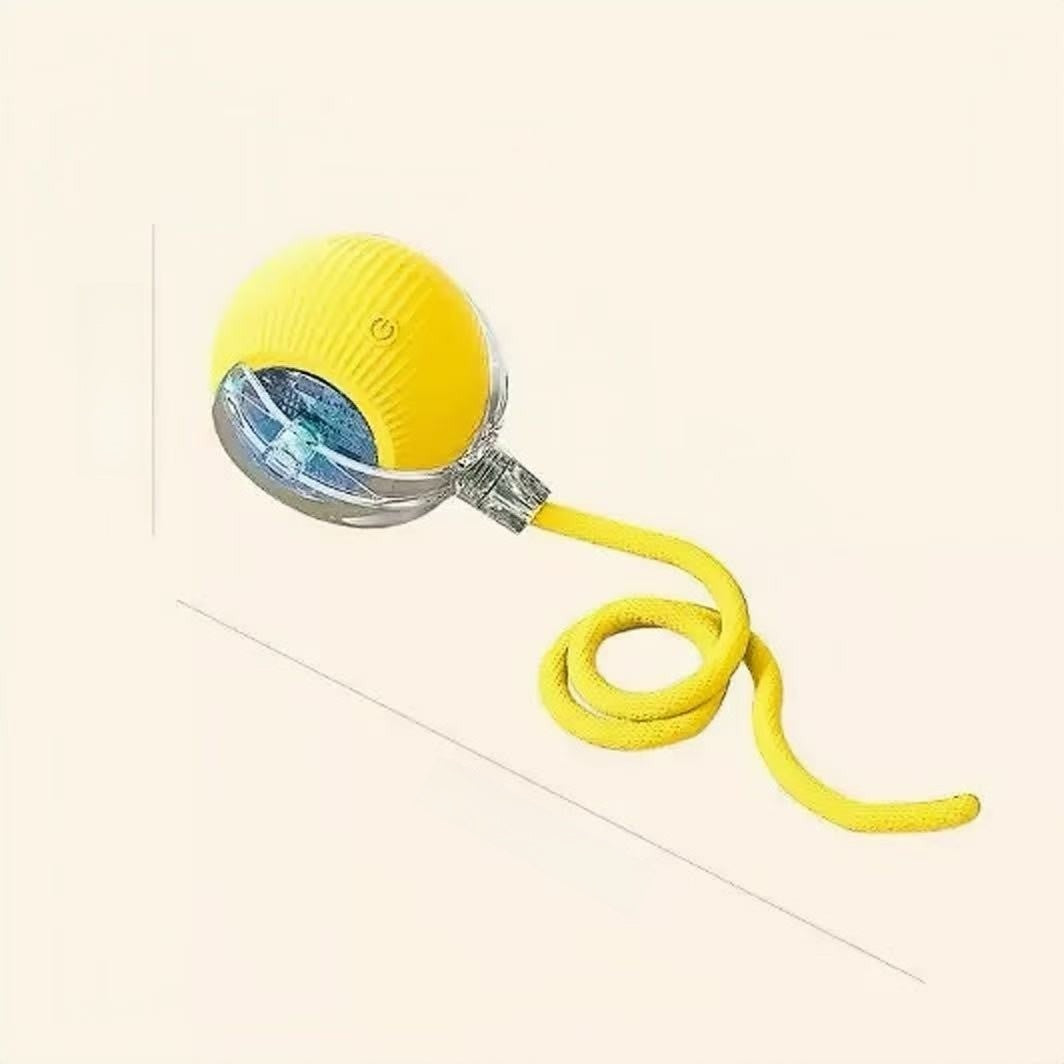 Plush Squeaky Pet Chew Toys