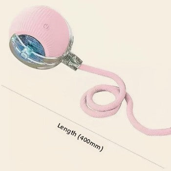 Plush Squeaky Pet Chew Toys
