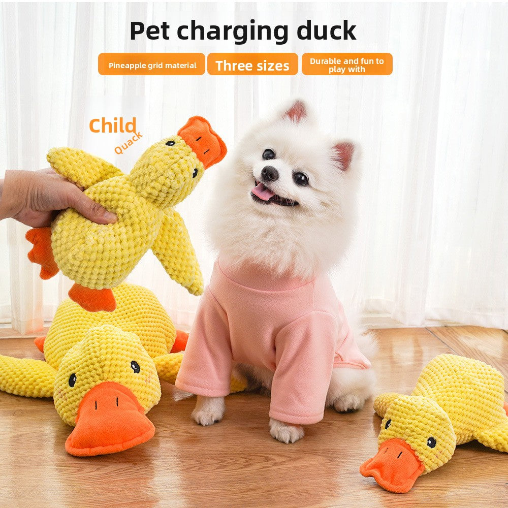 Plush Squeaky Pet Toy for Dogs and Cats