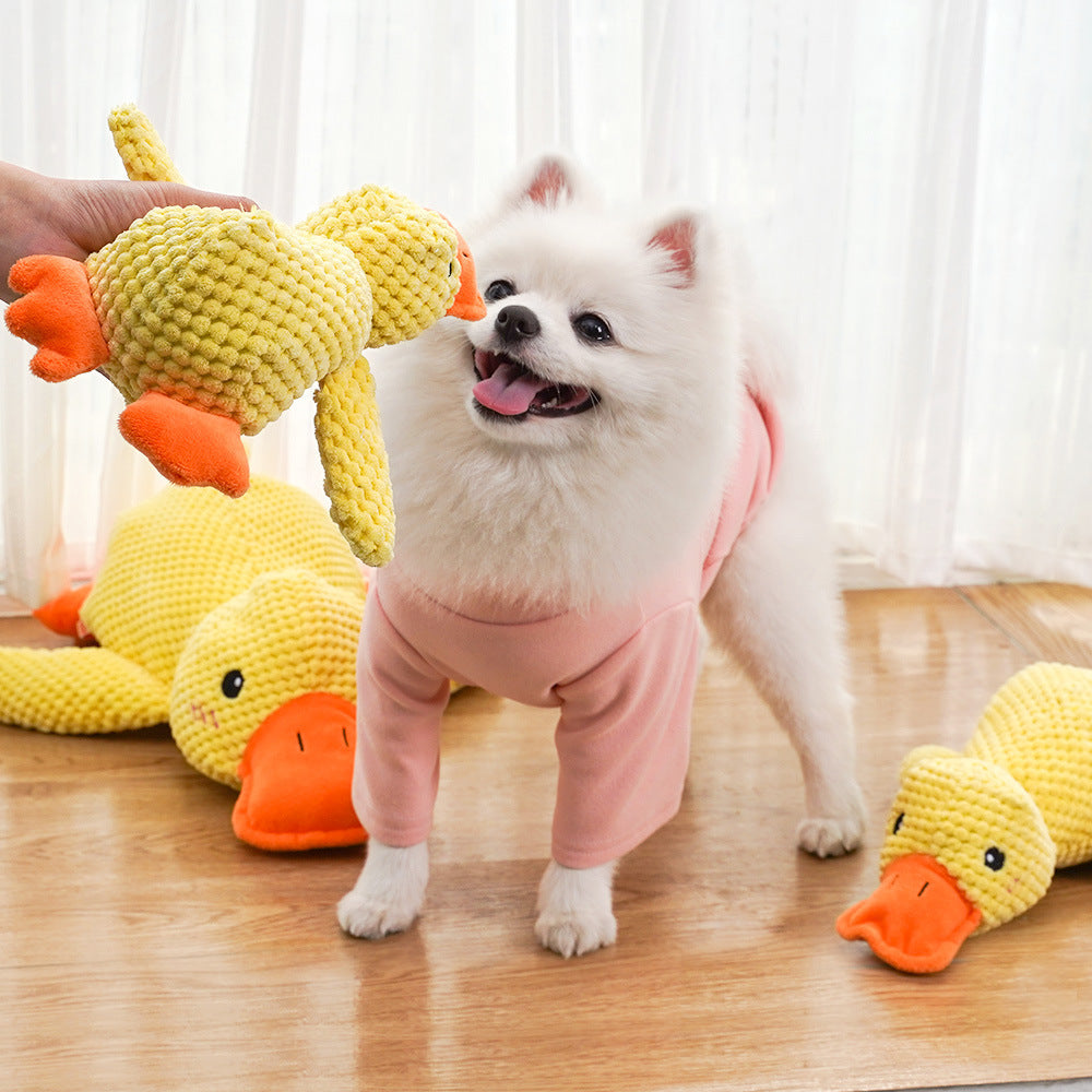 Plush Squeaky Pet Toy for Dogs and Cats