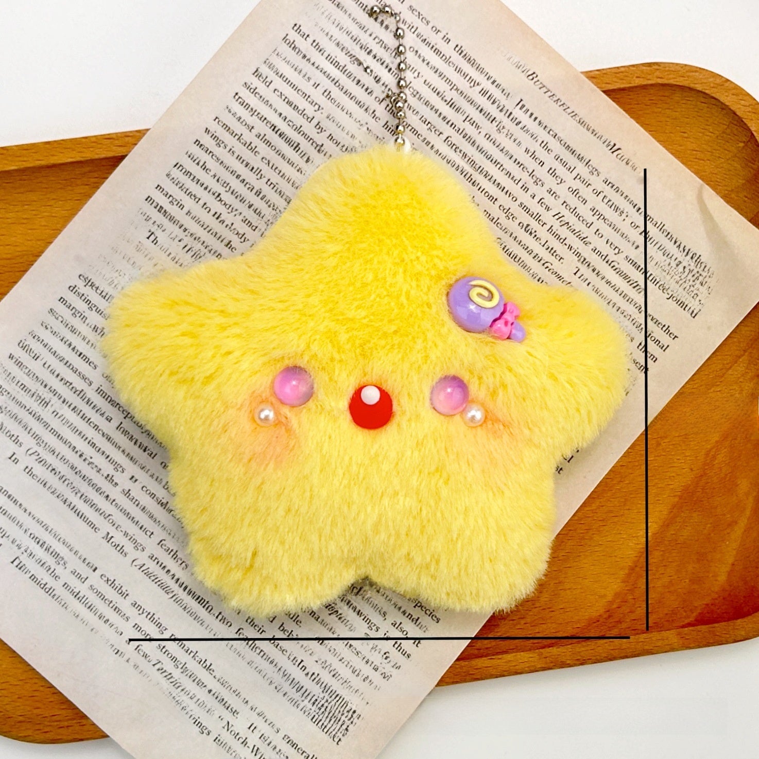 Plush Squeaky Toy