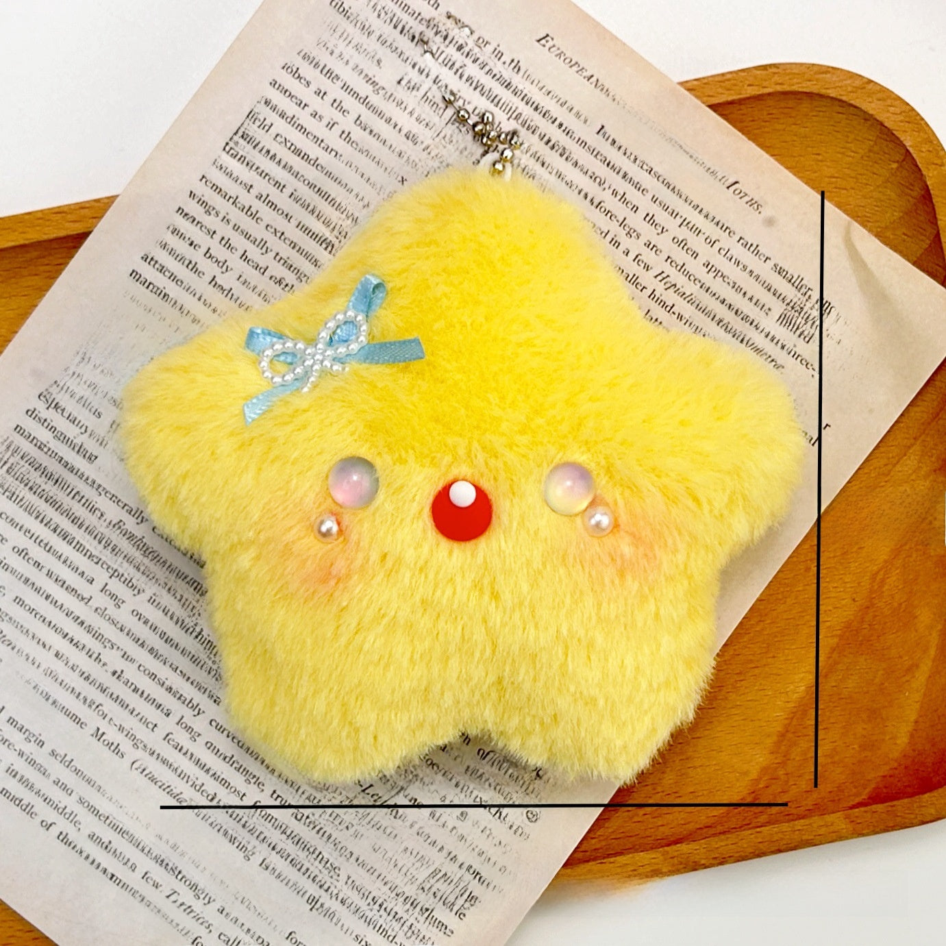 Plush Squeaky Toy