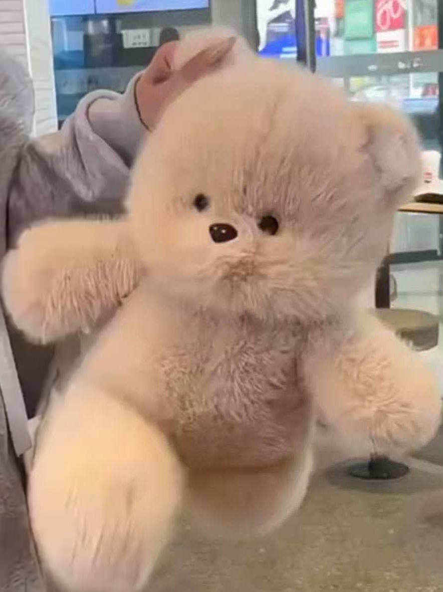 Plush Stuffed Animal Toy