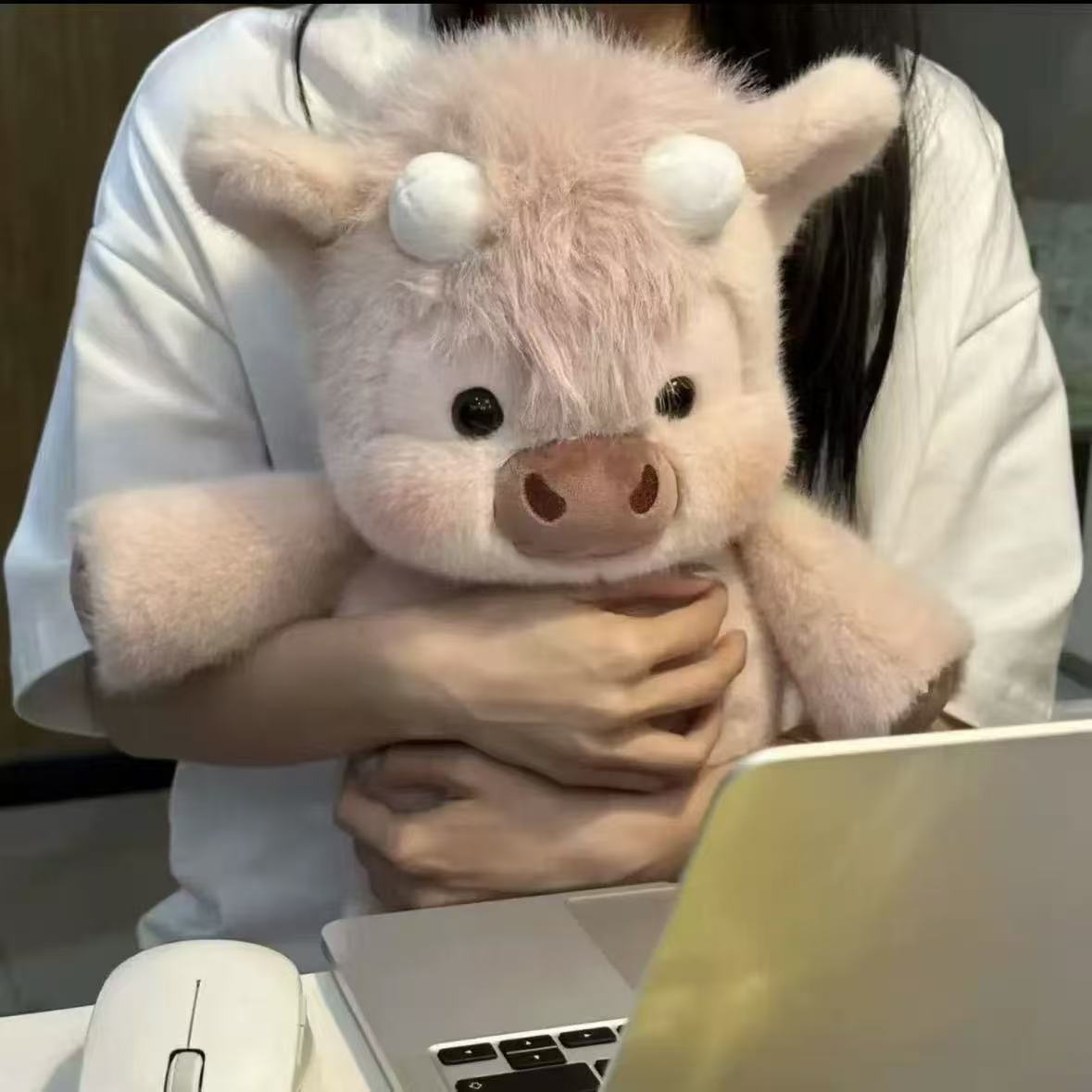 Plush stuffed toy