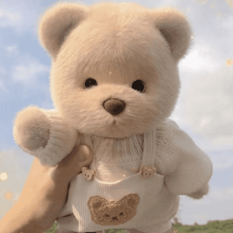 Plush Toy Bear