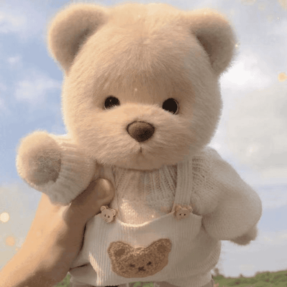 Plush Toy Bear