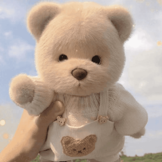 Plush Toy Bear