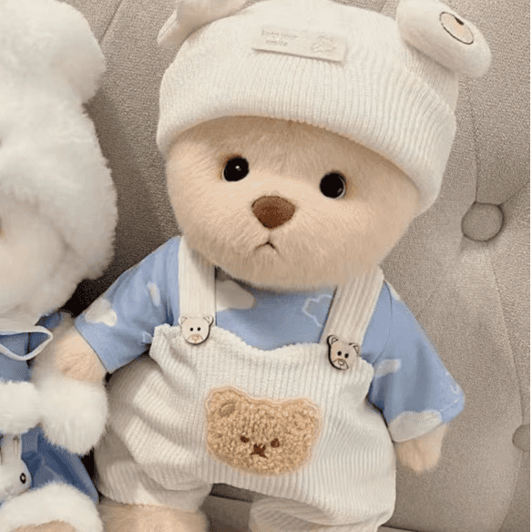 Plush Toy Bear