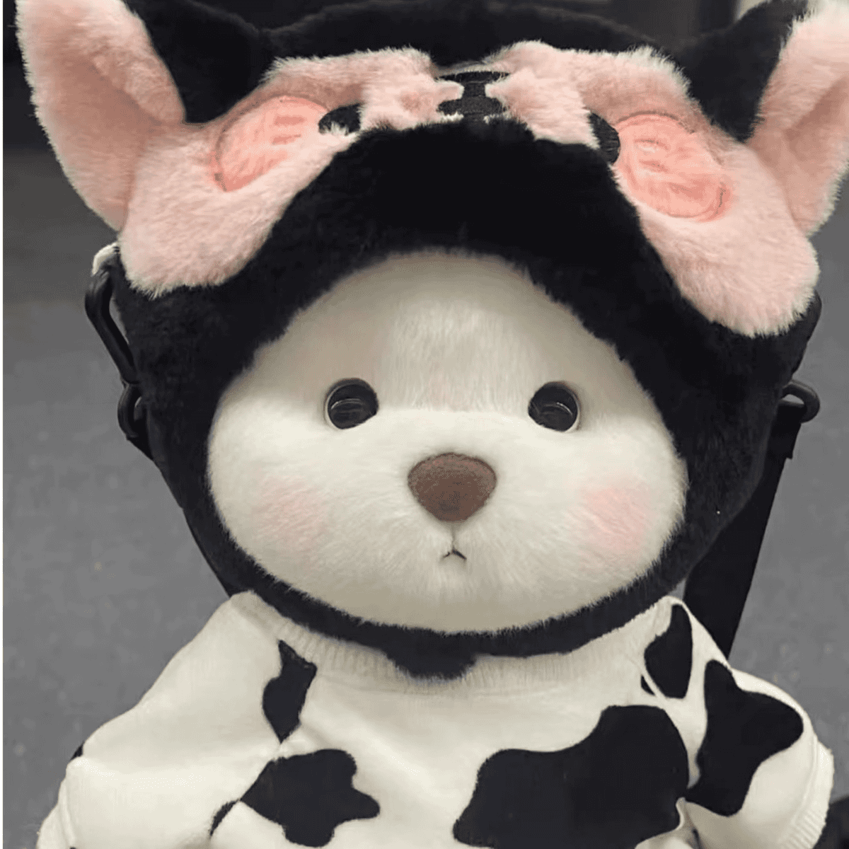 Plush Toy Bear