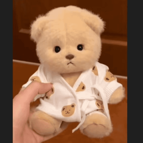 Plush Toy Bear