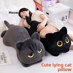 Black cat