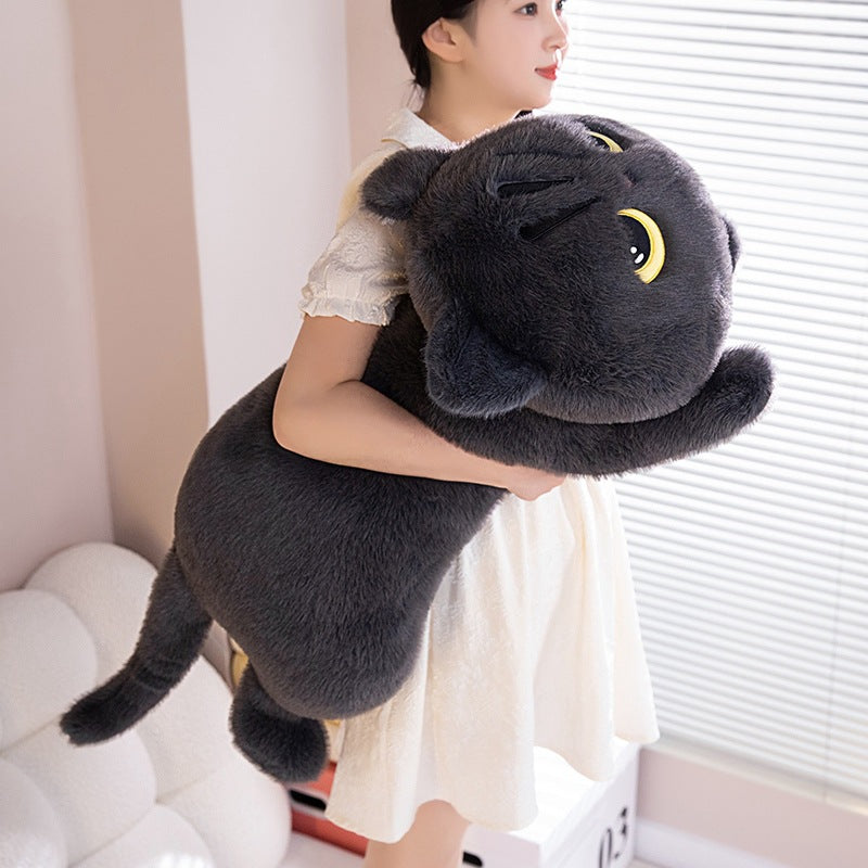 Plush Toy Cat