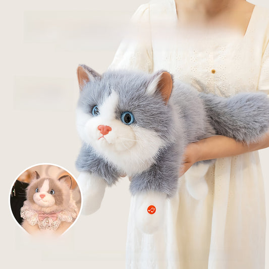 Plush Toy Cat