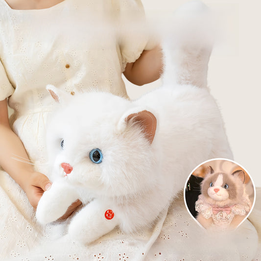 Plush Toy Cat