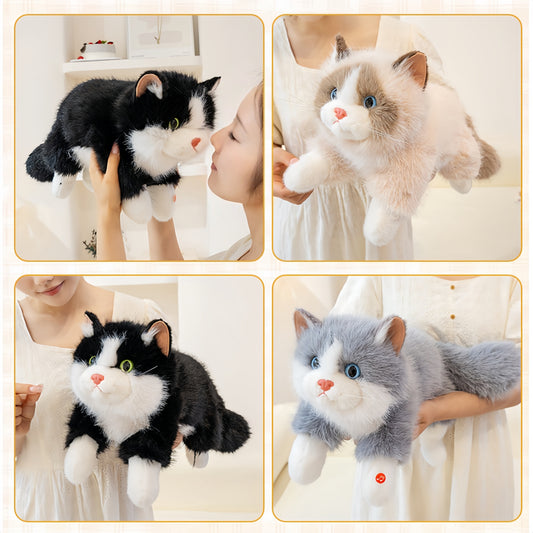 Plush Toy Cat