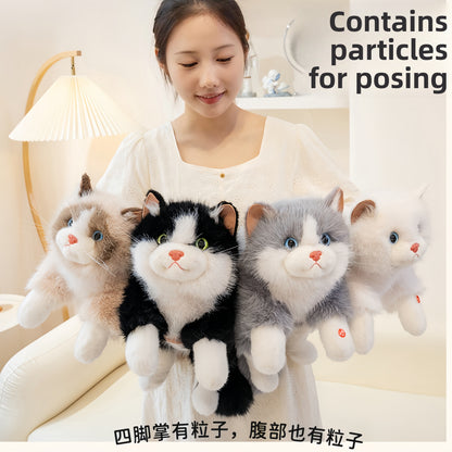 Plush Toy Cat